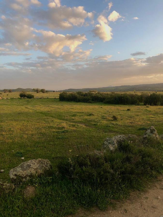 El Lago Cervera de Buitrago Eksteriør billede